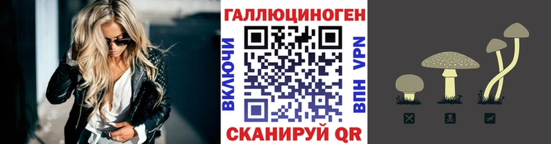 наркотики Дмитров Псилоцибиновые грибы мухоморы