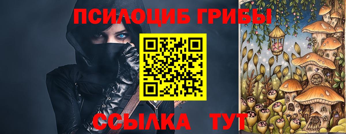 Галлюциногенные грибы Psilocybine cubensis Дмитров