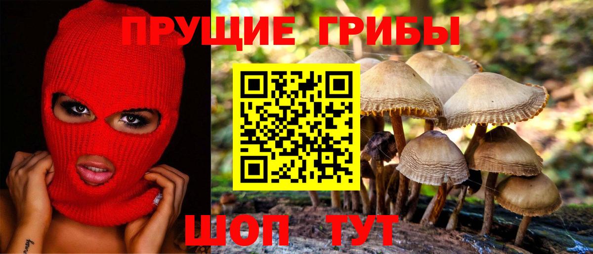 Дмитров  Галлюциногенные грибы прущие грибы  Галлюциногенные грибы GOLDEN TEACHER  Вход с VPN 